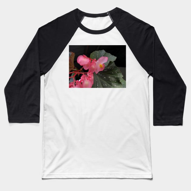 pink flower in the garden Baseball T-Shirt by likbatonboot